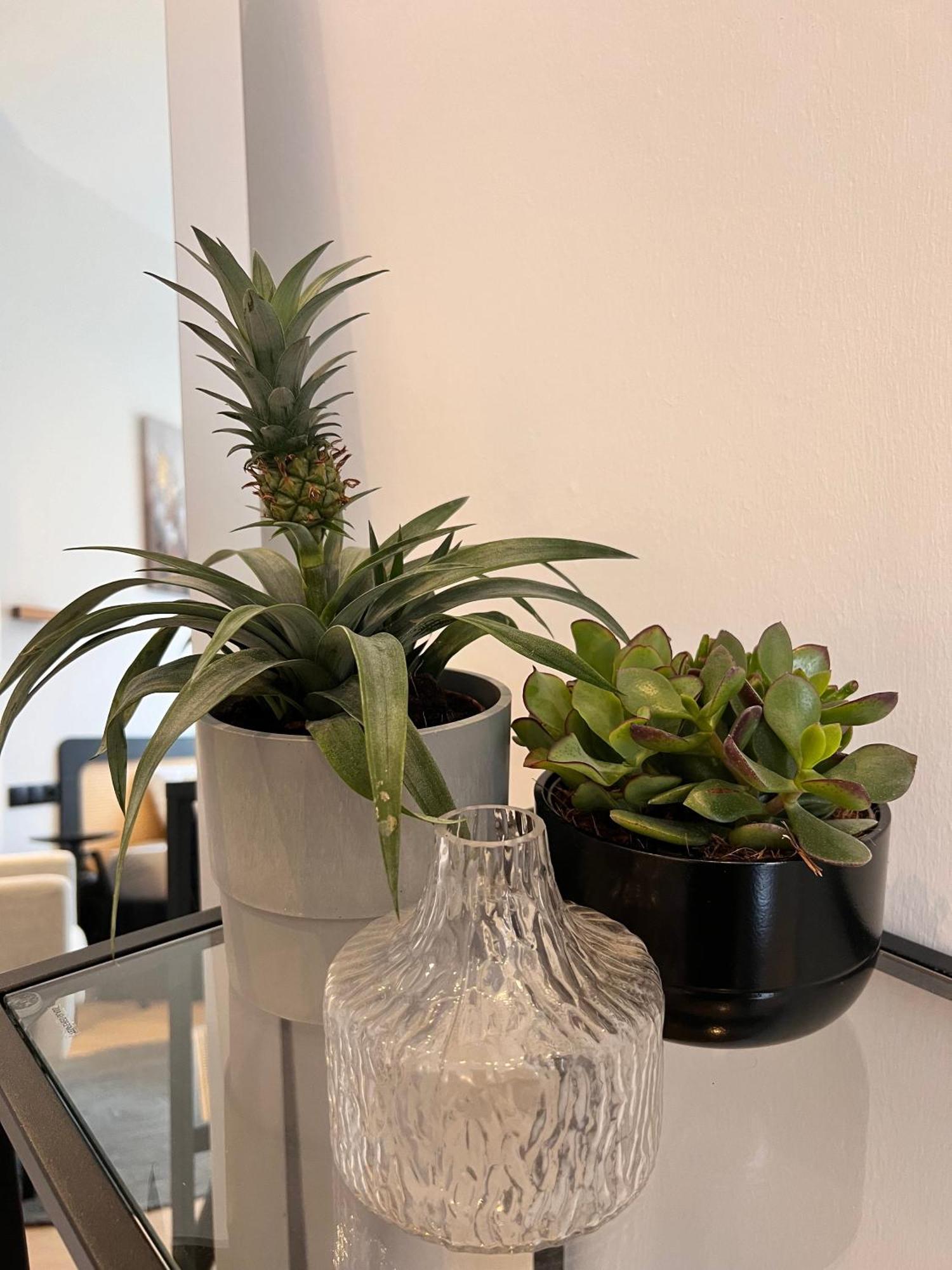 Modern Stay I Cosy & Central Apartments 科布倫茨 外观 照片